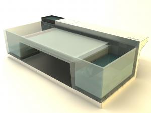 SES 113 – Experiment Hele-Shaw